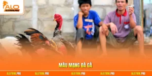 Màu mạng đá gà